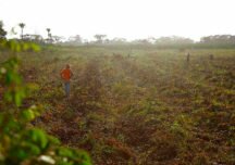 En 25 años de Ley de tierras, más del 60% de fincas siguen sin derechos de propiedad