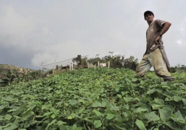 Recortes presupuestales frenan la posibilidad de una Reforma Rural Integral