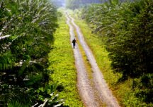 Gobiernos del mundo indiferentes ante la violaci&oacute;n de DD.HH. por parte de empresas