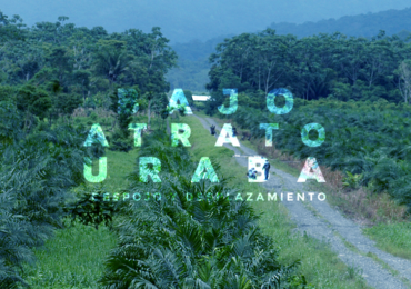Informes sobre despojo en el Urabá y Bajo Atrato llegarán a la Comisión de la Verdad