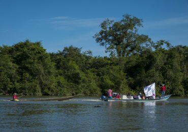 Naturaleza en Colombia, escenario y víctima de la guerra