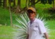 Judicializan a reclamantes de tierras, Edilberto Úsuga y paramilitares atentan contra su hijo