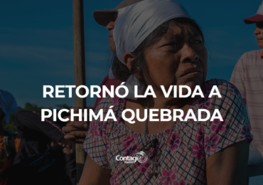 Retornó la vida a Pichimá Quebrada