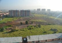Humedal El Burrito en riesgo por proyectos urbanísticos