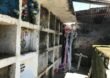 Manejo erróneo de cementerios por Covid-19 pondría en riesgo memoria histórica del conflicto