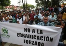 Ejercito y narcotráfico: verdugos de la sustitución de la Coca
