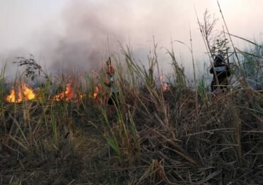 Fuego y desabastecimiento consumen al Magdalena. Gobierno nacional no aparece