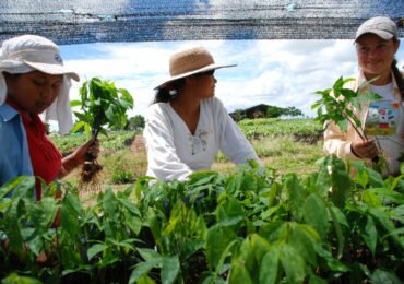 Vivimos la guerra, construimos la paz: La historia de lucha por los derechos humanos de las mujeres rurales colombianas