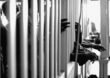 Prisionero político es víctima de torturas