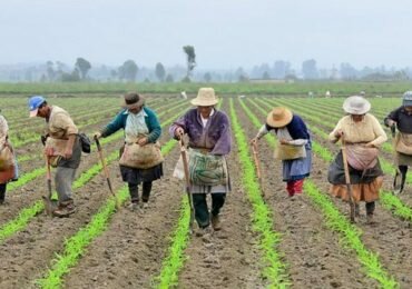 Gobierno debe priorizar productos campesinos antes que importar alimentos e insumos