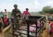 Ejército habría asesinado a Emerito Digno Buendía: Ascamcat