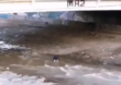 Carabinero a prisión por arrojar a joven al río en Chile