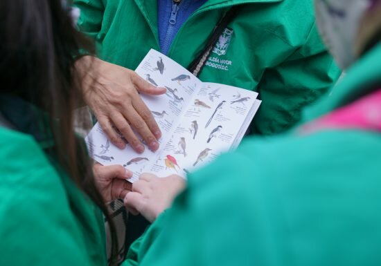 Así se desarrollará la semana ambiental BioBlitz