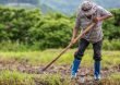 Aprobado en último debate al Campesinado como sujeto político de derechos