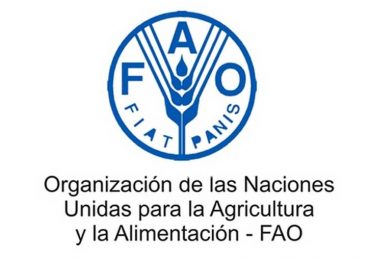 Informe FAO: Colombia está en alto riesgo de sufrir crisis de hambre en 2022