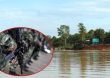 Procuraduría debe investigar la operación militar en Puerto Leguízamo