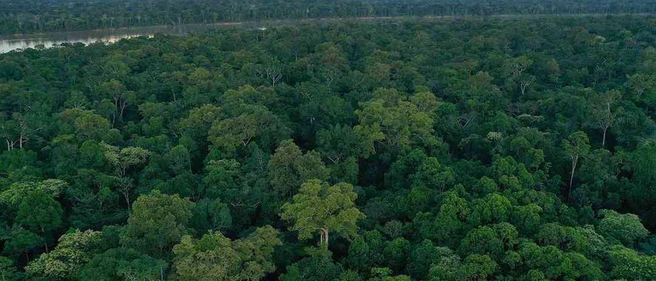 La Cumbre Amazónica concluye con la Declaración de Belém para no llegar al punto de no retorno