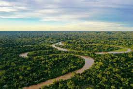 Organizaciones sociales de Caquetá y Putumayo piden mayor participación en la definición de los modelos de desarrollo para la Amazonía