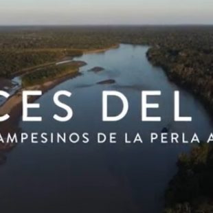 Lanzamiento del cortometraje ‘Voces del Río’, producido por jóvenes de la Zona de Reserva Campesina Perla Amazónica