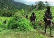 Autodefensas Gaitanistas de Colombia (AGC) vulneran Zona Humanitaria de Pueblo Nuevo Jiguamiandó, Chocó