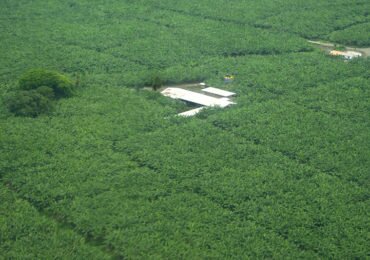 Más de 300 mil hectáreas se han entregado de forma irregular en Colombia
